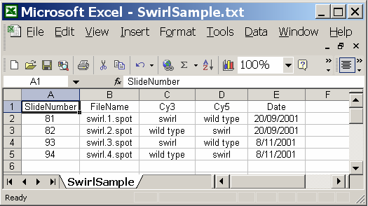 images/SwirlSampleInExcel.png